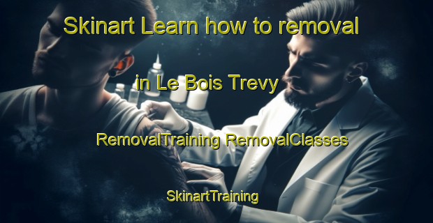 Skinart Learn how to removal in Le Bois Trevy | #RemovalTraining #RemovalClasses #SkinartTraining-France