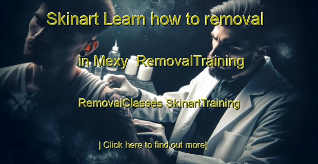 Skinart Learn how to removal in Mexy | #RemovalTraining #RemovalClasses #SkinartTraining-France