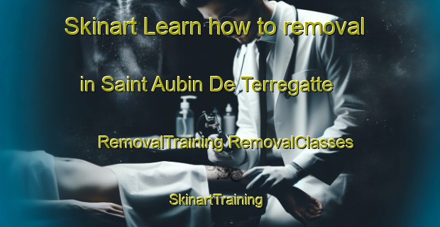 Skinart Learn how to removal in Saint Aubin De Terregatte | #RemovalTraining #RemovalClasses #SkinartTraining-France