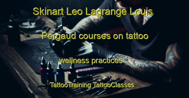 Skinart Leo Lagrange Louis Pergaud courses on tattoo wellness practices | #TattooTraining #TattooClasses #SkinartTraining-France