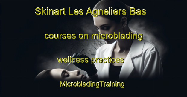 Skinart Les Agneliers Bas courses on microblading wellness practices | #MicrobladingTraining #MicrobladingClasses #SkinartTraining-France