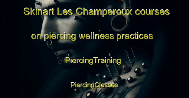 Skinart Les Champeroux courses on piercing wellness practices | #PiercingTraining #PiercingClasses #SkinartTraining-France