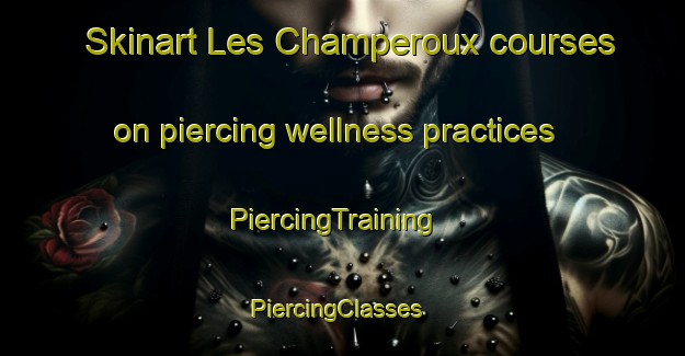 Skinart Les Champeroux courses on piercing wellness practices | PiercingTraining | PiercingClasses | SkinartTraining-France