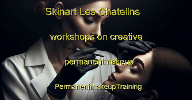 Skinart Les Chatelins workshops on creative permanentmakeup | PermanentmakeupTraining | PermanentmakeupClasses | SkinartTraining-France