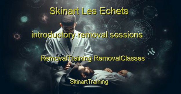 Skinart Les Echets introductory removal sessions | #RemovalTraining #RemovalClasses #SkinartTraining-France