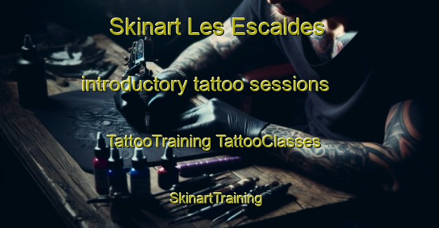 Skinart Les Escaldes introductory tattoo sessions | #TattooTraining #TattooClasses #SkinartTraining-France