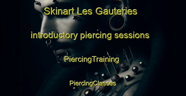 Skinart Les Gauteries introductory piercing sessions | #PiercingTraining #PiercingClasses #SkinartTraining-France