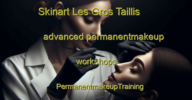 Skinart Les Gros Taillis advanced permanentmakeup workshops | #PermanentmakeupTraining #PermanentmakeupClasses #SkinartTraining-France