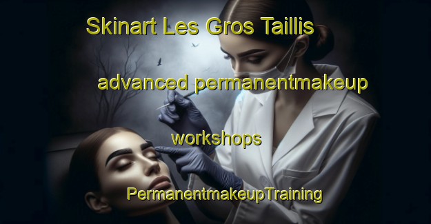 Skinart Les Gros Taillis advanced permanentmakeup workshops | #PermanentmakeupTraining #PermanentmakeupClasses #SkinartTraining-France