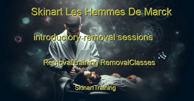 Skinart Les Hemmes De Marck introductory removal sessions | #RemovalTraining #RemovalClasses #SkinartTraining-France