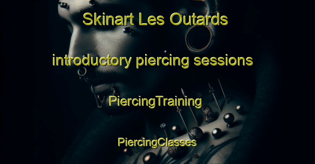 Skinart Les Outards introductory piercing sessions | #PiercingTraining #PiercingClasses #SkinartTraining-France