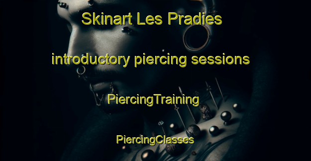 Skinart Les Pradies introductory piercing sessions | #PiercingTraining #PiercingClasses #SkinartTraining-France