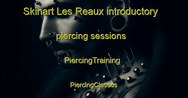 Skinart Les Reaux introductory piercing sessions | #PiercingTraining #PiercingClasses #SkinartTraining-France