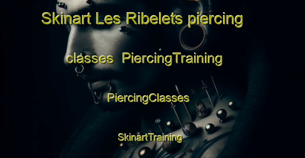 Skinart Les Ribelets piercing classes | PiercingTraining | PiercingClasses | SkinartTraining-France