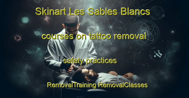 Skinart Les Sables Blancs courses on tattoo removal safety practices | #RemovalTraining #RemovalClasses #SkinartTraining-France