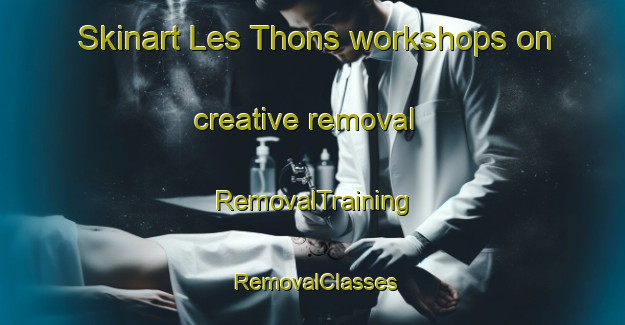 Skinart Les Thons workshops on creative removal | RemovalTraining | RemovalClasses | SkinartTraining-France