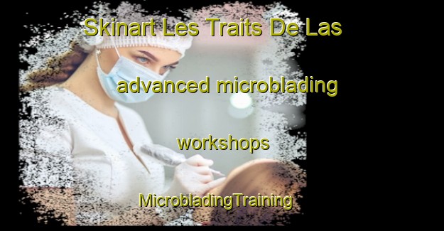 Skinart Les Traits De Las advanced microblading workshops | MicrobladingTraining | MicrobladingClasses | SkinartTraining-France