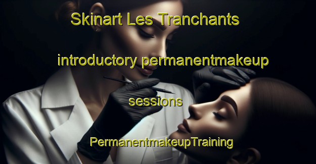 Skinart Les Tranchants introductory permanentmakeup sessions | PermanentmakeupTraining | PermanentmakeupClasses | SkinartTraining-France