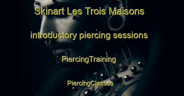 Skinart Les Trois Maisons introductory piercing sessions | PiercingTraining | PiercingClasses | SkinartTraining-France