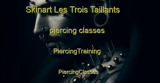 Skinart Les Trois Taillants piercing classes | PiercingTraining | PiercingClasses | SkinartTraining-France
