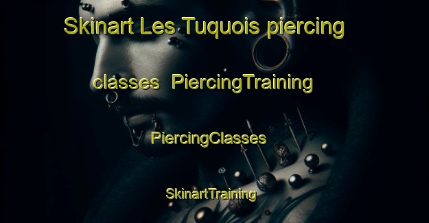 Skinart Les Tuquois piercing classes | PiercingTraining | PiercingClasses | SkinartTraining-France