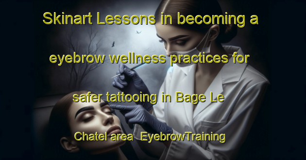 Skinart Lessons in becoming a eyebrow wellness practices for safer tattooing in Bage Le Chatel area | EyebrowTraining | EyebrowClasses | SkinartTraining-France