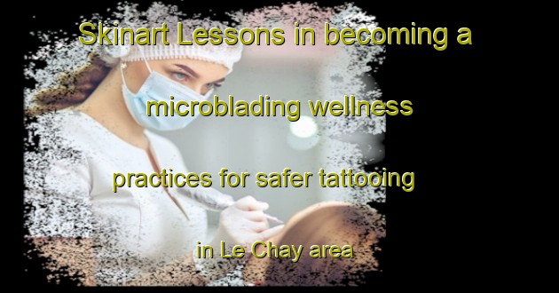Skinart Lessons in becoming a microblading wellness practices for safer tattooing in Le Chay area | MicrobladingTraining | MicrobladingClasses | SkinartTraining-France
