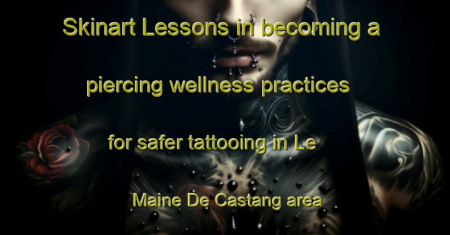 Skinart Lessons in becoming a piercing wellness practices for safer tattooing in Le Maine De Castang area | PiercingTraining | PiercingClasses | SkinartTraining-France