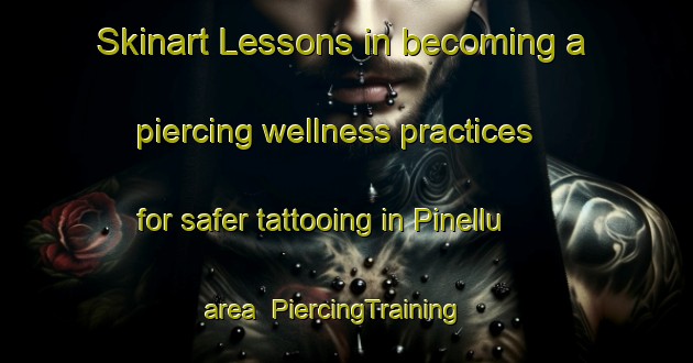 Skinart Lessons in becoming a piercing wellness practices for safer tattooing in Pinellu area | PiercingTraining | PiercingClasses | SkinartTraining-France