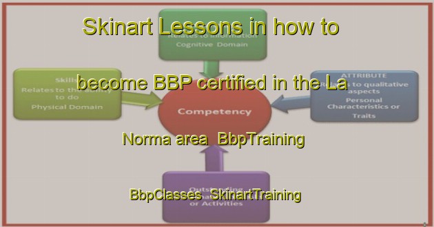 Skinart Lessons in how to become BBP certified in the La Norma area | BbpTraining | BbpClasses | SkinartTraining-France