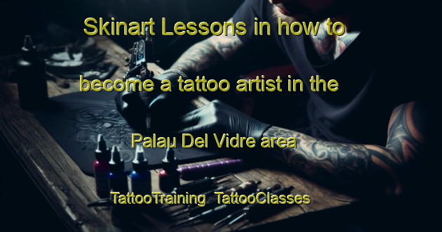 Skinart Lessons in how to become a tattoo artist in the Palau Del Vidre area | TattooTraining | TattooClasses | SkinartTraining-France