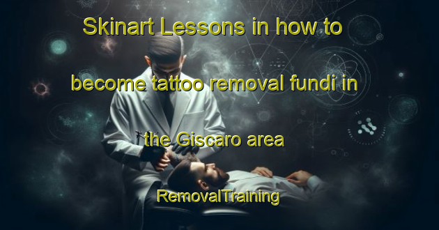 Skinart Lessons in how to become tattoo removal fundi in the Giscaro area | RemovalTraining | RemovalClasses | SkinartTraining-France