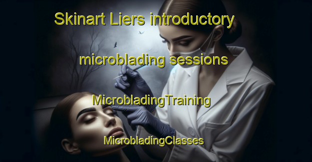 Skinart Liers introductory microblading sessions | MicrobladingTraining | MicrobladingClasses | SkinartTraining-France