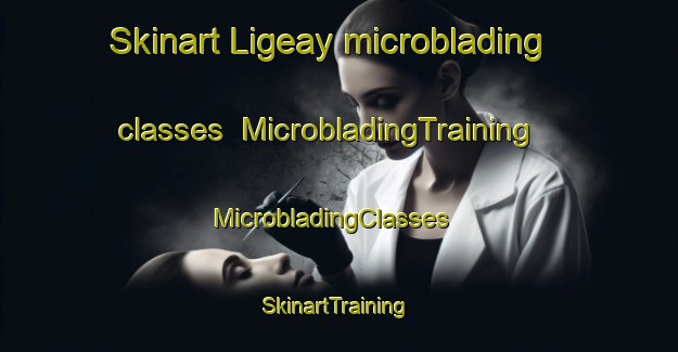 Skinart Ligeay microblading classes | MicrobladingTraining | MicrobladingClasses | SkinartTraining-France