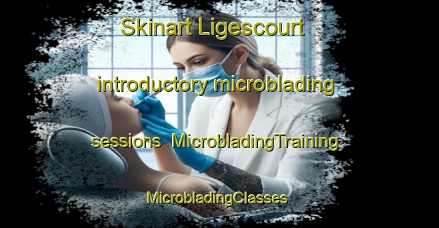 Skinart Ligescourt introductory microblading sessions | MicrobladingTraining | MicrobladingClasses | SkinartTraining-France