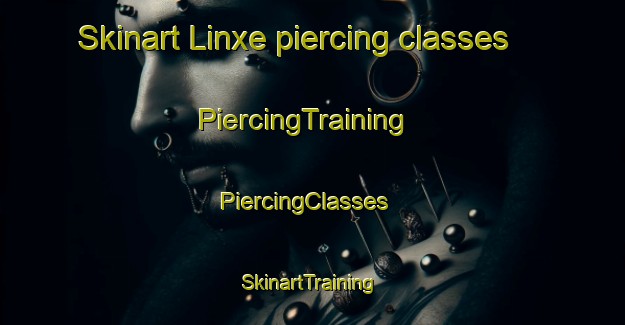 Skinart Linxe piercing classes | PiercingTraining | PiercingClasses | SkinartTraining-France