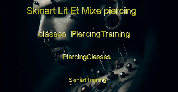 Skinart Lit Et Mixe piercing classes | PiercingTraining | PiercingClasses | SkinartTraining-France