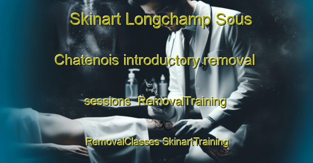 Skinart Longchamp Sous Chatenois introductory removal sessions | #RemovalTraining #RemovalClasses #SkinartTraining-France