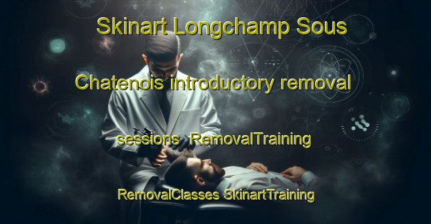 Skinart Longchamp Sous Chatenois introductory removal sessions | #RemovalTraining #RemovalClasses #SkinartTraining-France