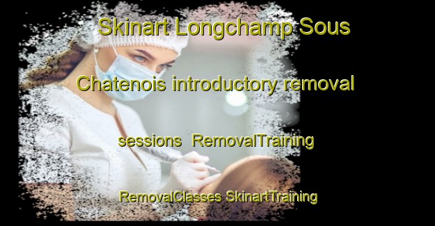 Skinart Longchamp Sous Chatenois introductory removal sessions | #RemovalTraining #RemovalClasses #SkinartTraining-France