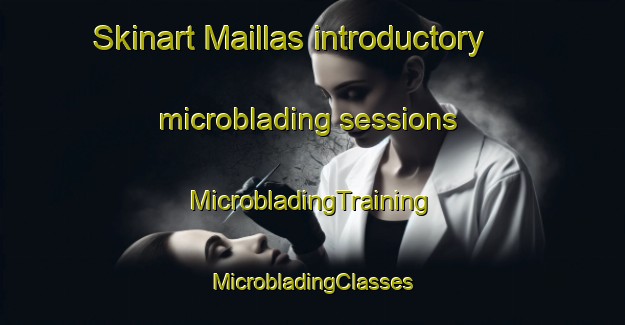 Skinart Maillas introductory microblading sessions | #MicrobladingTraining #MicrobladingClasses #SkinartTraining-France