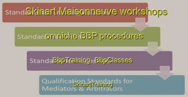 Skinart Maisonneuve workshops on niche BBP procedures | BbpTraining | BbpClasses | SkinartTraining-France