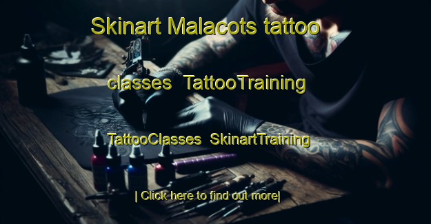 Skinart Malacots tattoo classes | TattooTraining | TattooClasses | SkinartTraining-France