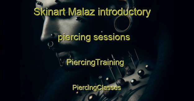 Skinart Malaz introductory piercing sessions | #PiercingTraining #PiercingClasses #SkinartTraining-France