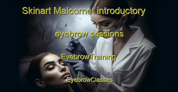 Skinart Malcornet introductory eyebrow sessions | EyebrowTraining | EyebrowClasses | SkinartTraining-France
