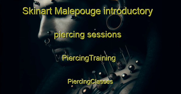 Skinart Malepouge introductory piercing sessions | #PiercingTraining #PiercingClasses #SkinartTraining-France