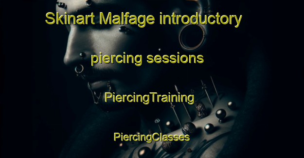 Skinart Malfage introductory piercing sessions | #PiercingTraining #PiercingClasses #SkinartTraining-France