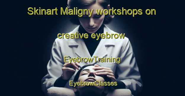 Skinart Maligny workshops on creative eyebrow | EyebrowTraining | EyebrowClasses | SkinartTraining-France