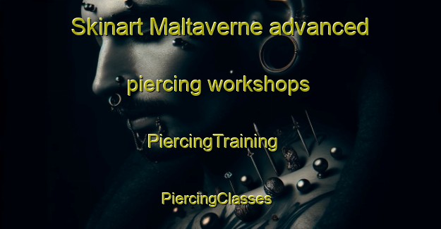 Skinart Maltaverne advanced piercing workshops | PiercingTraining | PiercingClasses | SkinartTraining-France