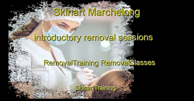 Skinart Marchelong introductory removal sessions | #RemovalTraining #RemovalClasses #SkinartTraining-France